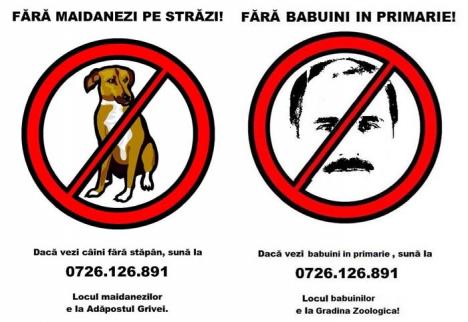 Bolo la Zoo: Cum a ajuns Ilie Bolojan pe afişele împotriva maidanezilor
